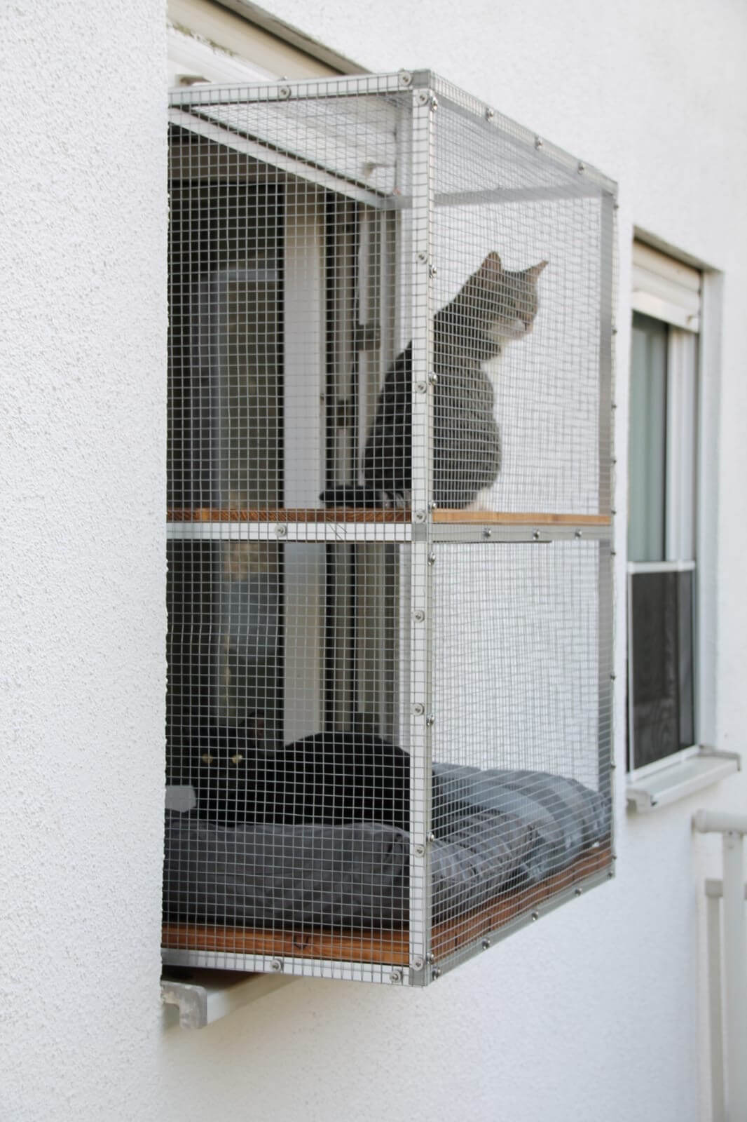 Zwei Katzen sitzen auf Tiny Terrace Katzenbalkon in Sicherheit, genießen die Aussicht und die Frischluft und beobachten die Umgebung