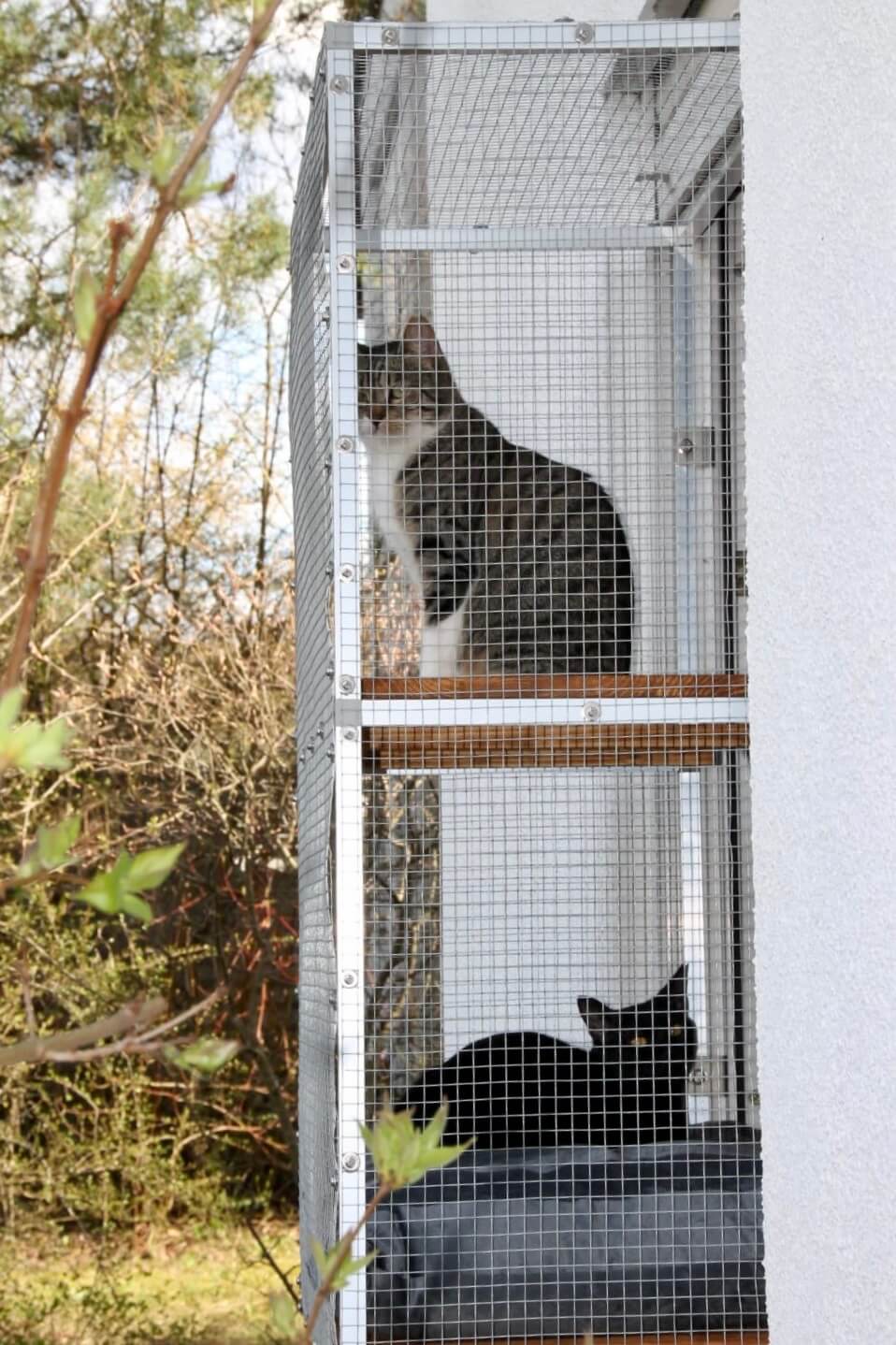 Zwei Katzen sitzen auf Tiny Terrace Katzenbalkon in Sicherheit, genießen die Aussicht und die Frischluft und beobachten die Umgebung